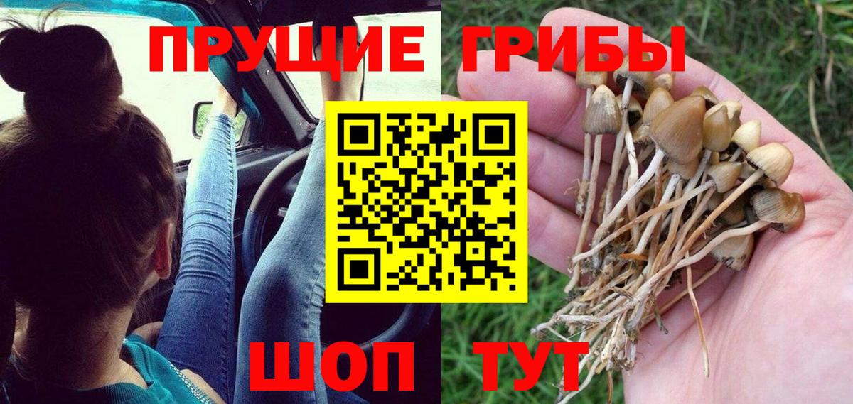Шахты  Псилоцибиновые грибы Psilocybe  Вход с VPN 
