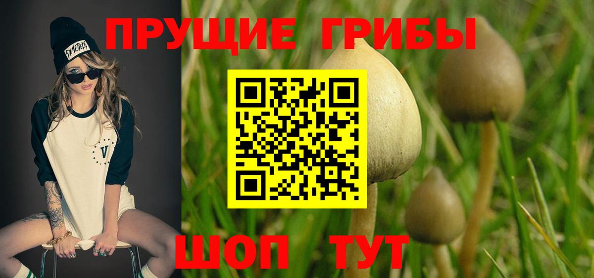 Псилоцибиновые грибы GOLDEN TEACHER Шахты